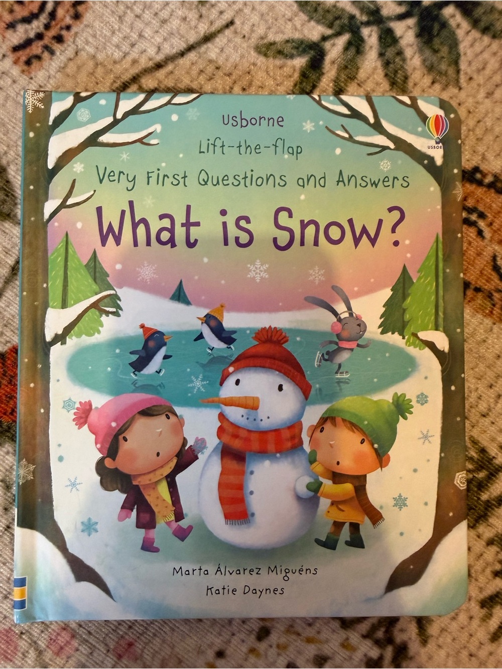 Usbourne What is Snow Board Book
